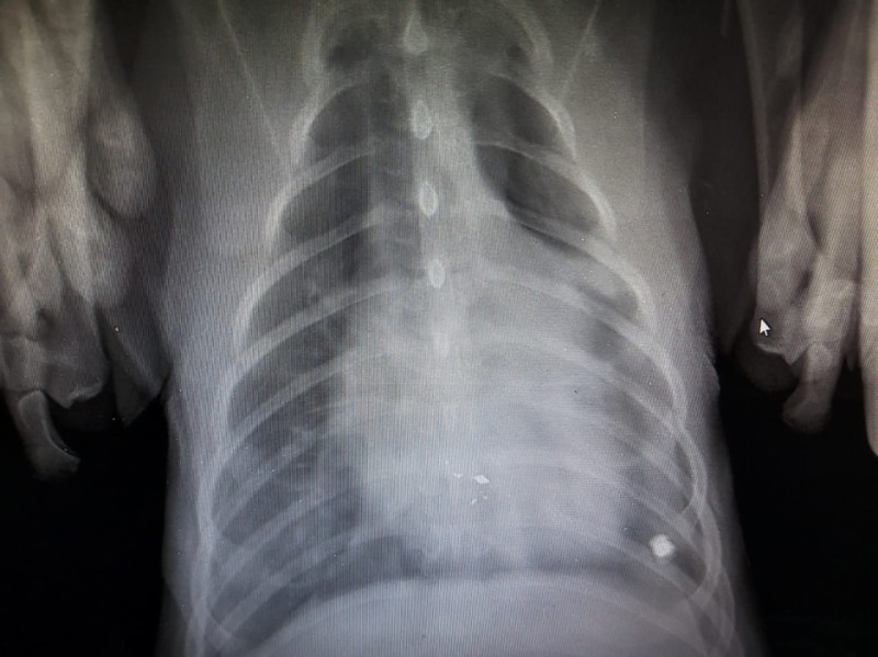 Preview Image 1