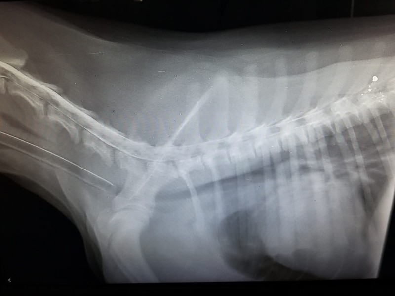 Preview Image 1