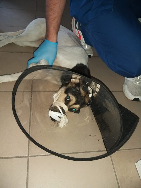 Preview Image 1