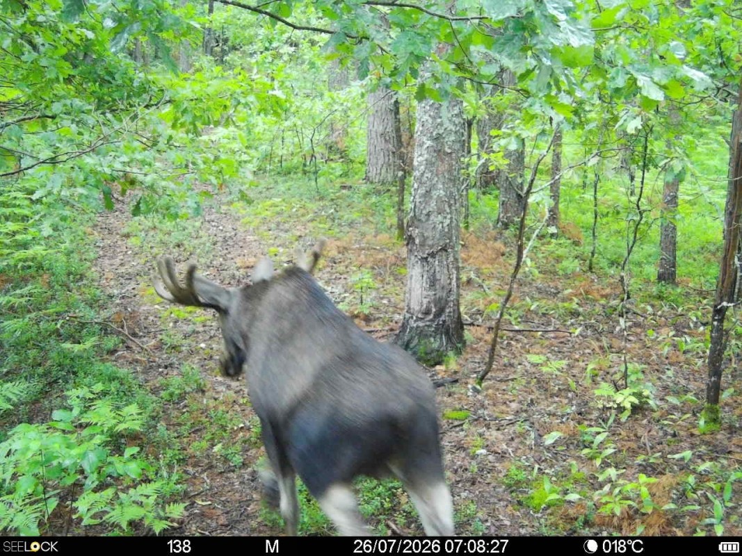 Preview Image 1
