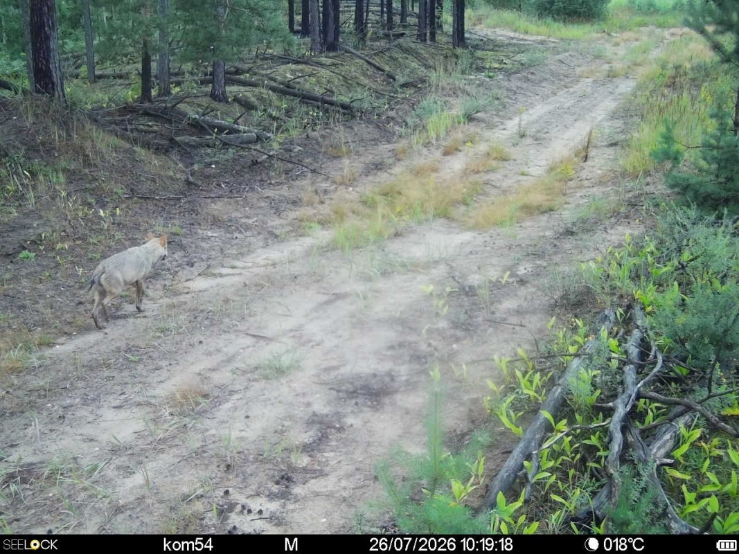 Preview Image 1