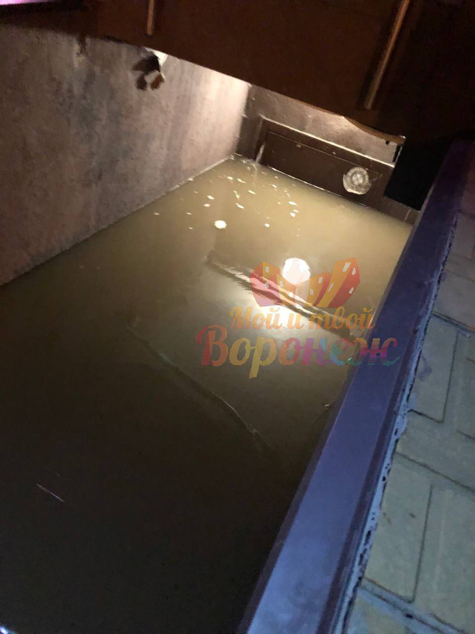 Preview Image 1