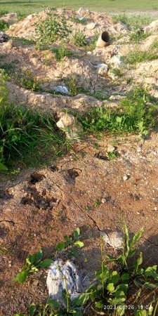 Preview Image 1