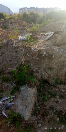 Preview Image 1