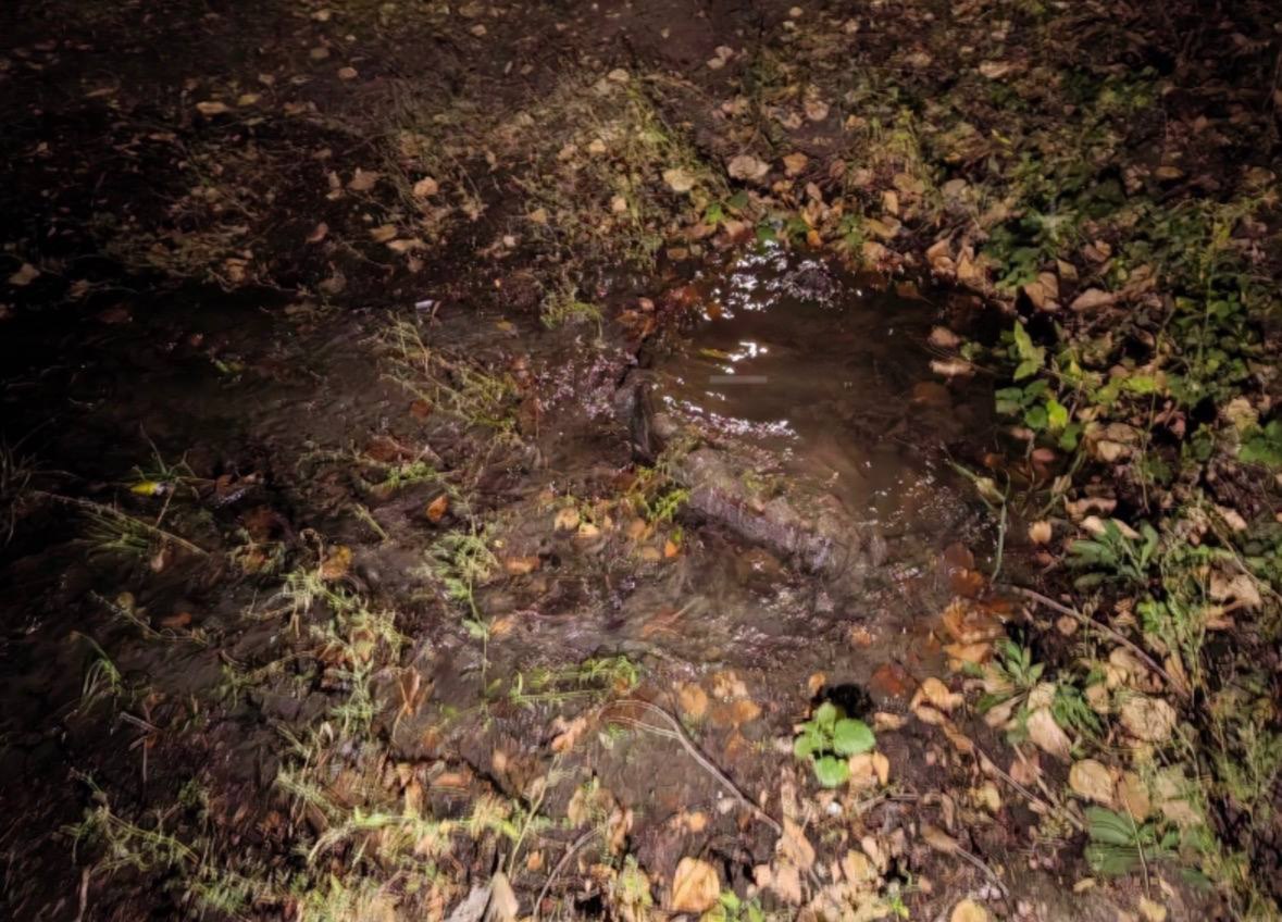 Preview Image 1