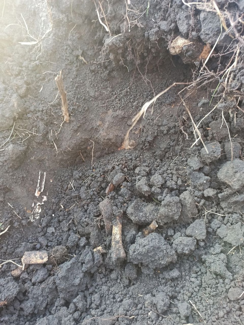 Preview Image 1