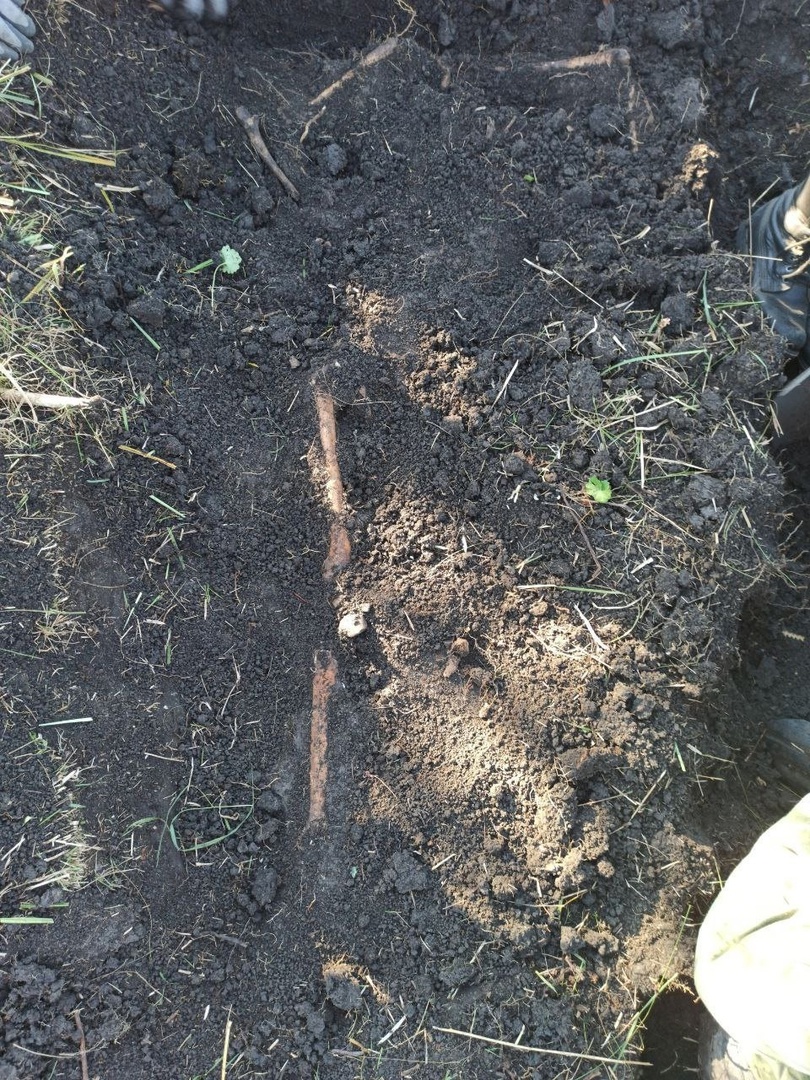 Preview Image 1
