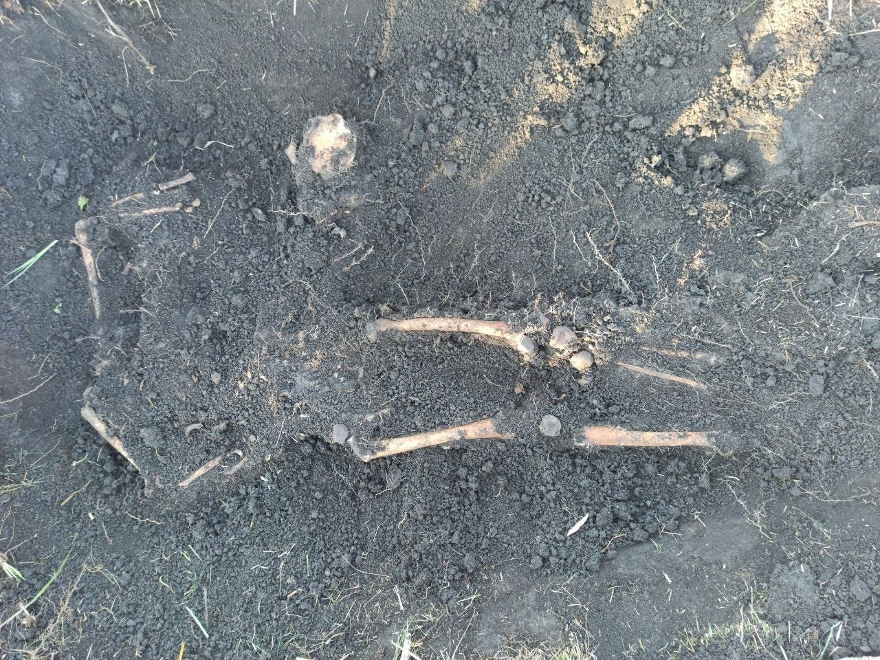 Preview Image 1