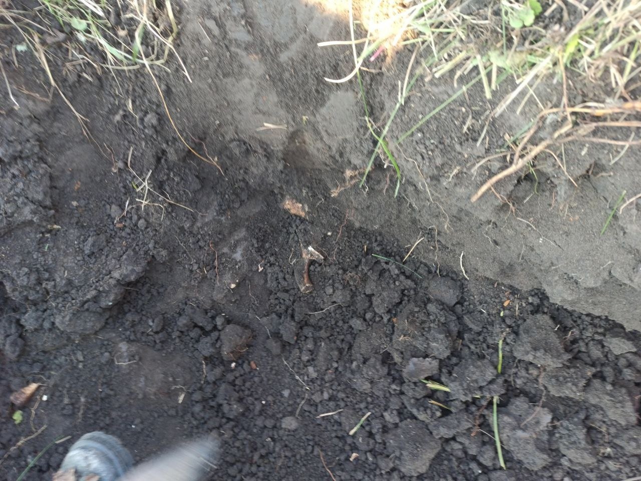 Preview Image 1