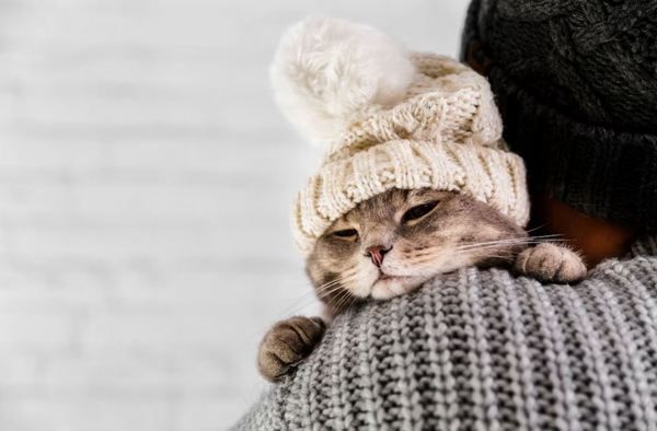 moroz