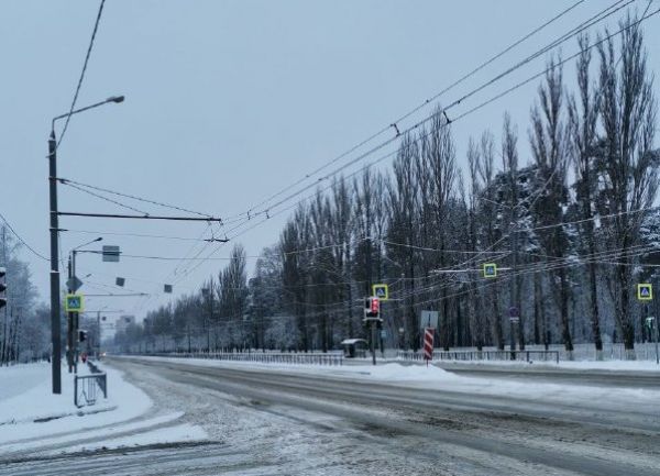Утренний дайджест «НБ»: погибшие в СВО бойцы, отрава и антибиотики в мясе, волна эвакуаций, известен срок Торикову
