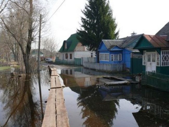 В Брянске затопило два жилых дома