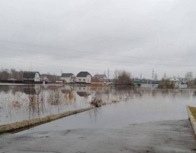 В Брянске сняли на видео ушедший под воду поселок Радица-Крыловка