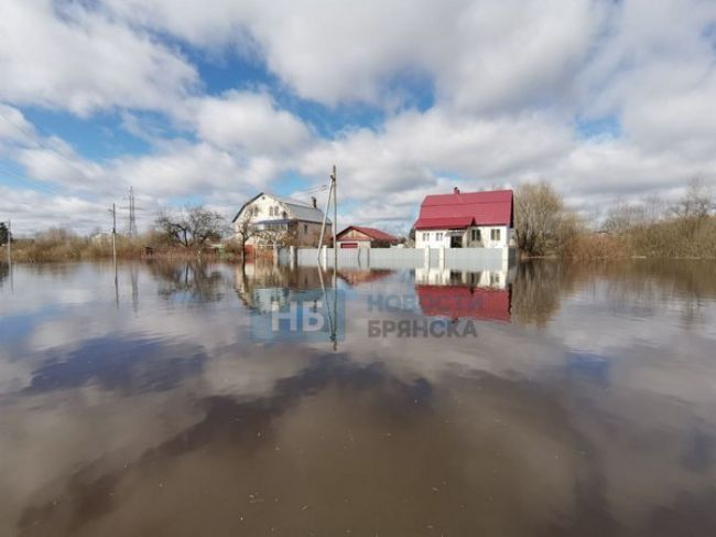 Фото: Анна Игнаткина / Региональные новости