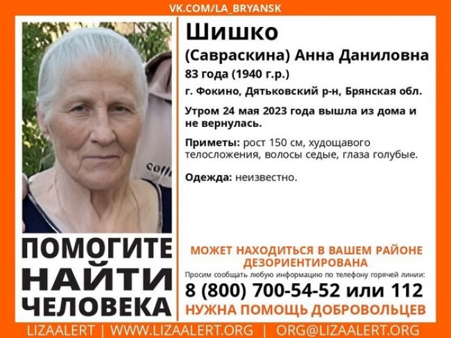 В Брянской области разыскивают пропавшую 83-летнюю Анну Шишко