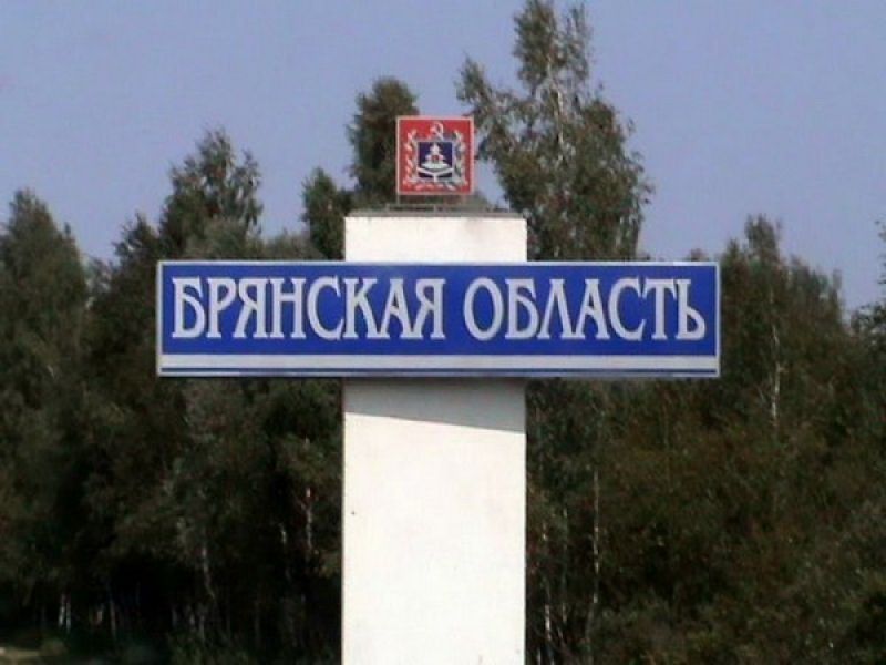 Появилась информация об обстреле ВСУ брянского села Демьянки