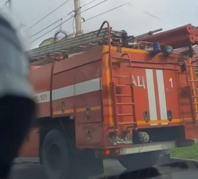Фото: скриншот видео