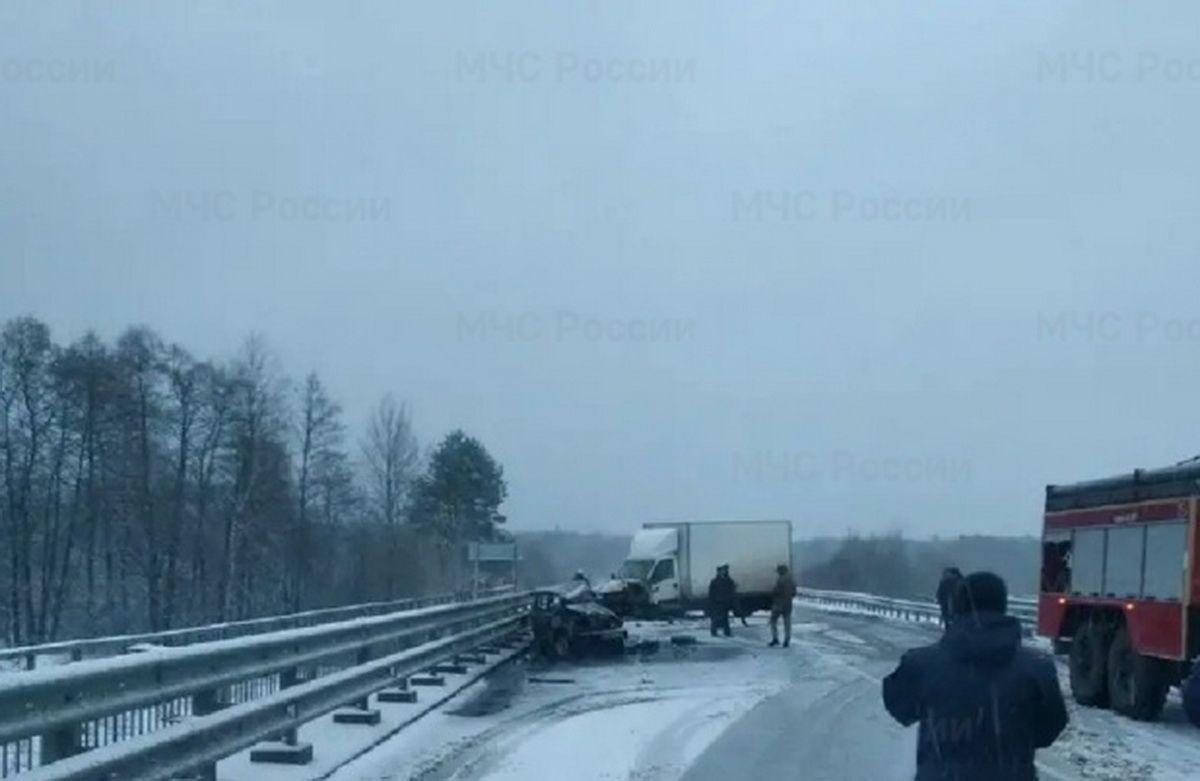 Фото: ГУ МЧС России по Брянской области