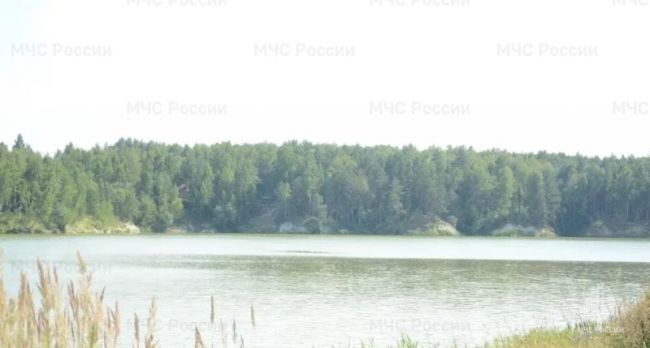 Под Выгоничами в озере нашли труп мужчины