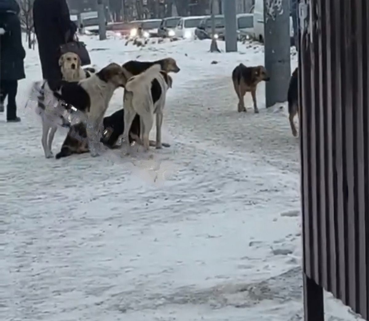 Подслушано Брянск