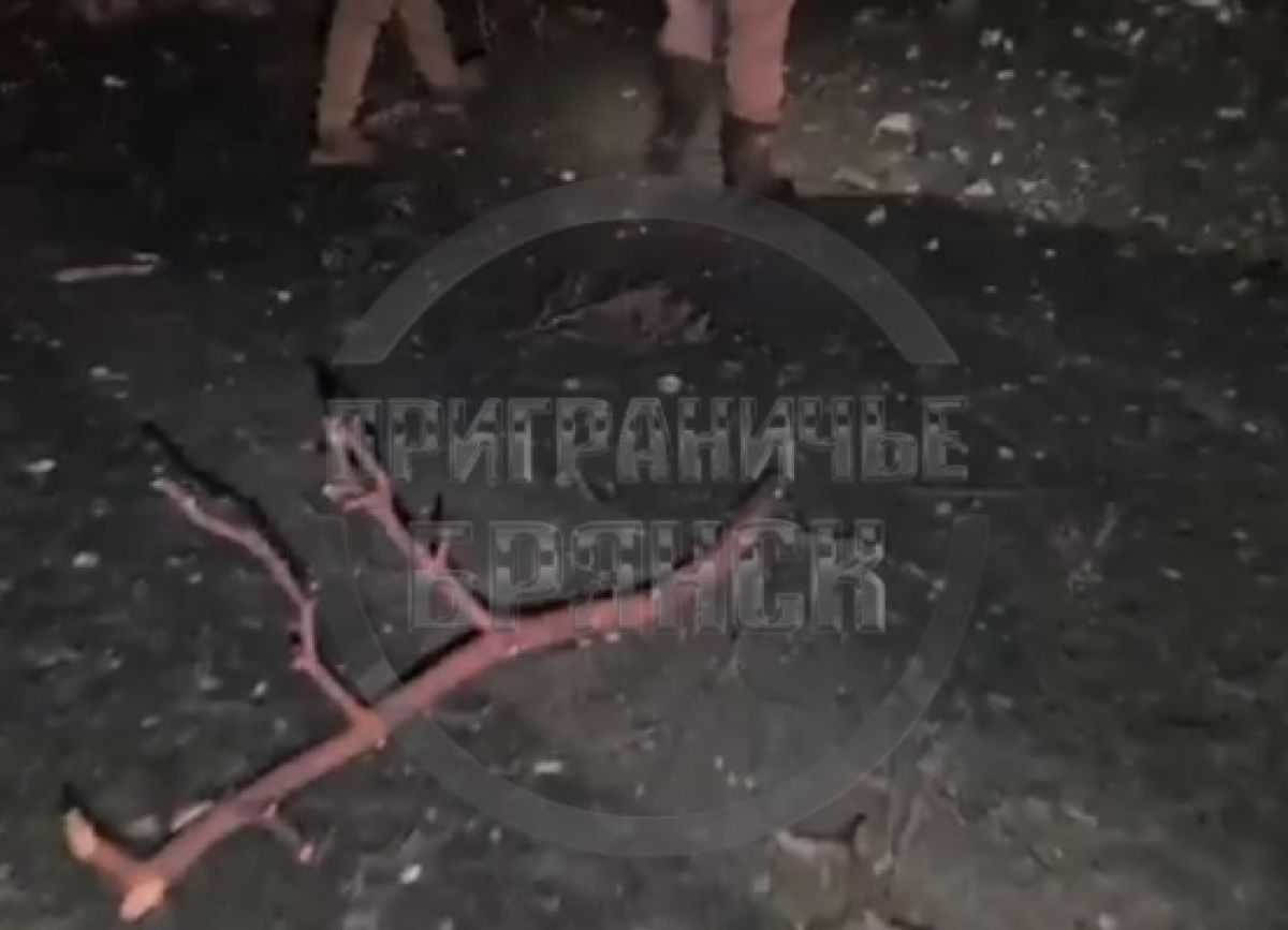 Приграничье Брянск