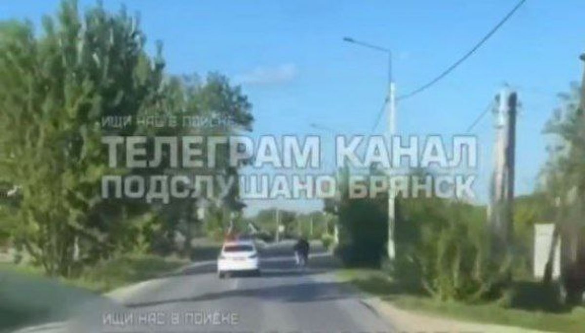 скриншот видео / Подслушано Брянск