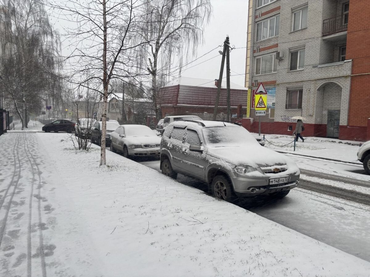 Зима в Брянской области задержится на неделю
