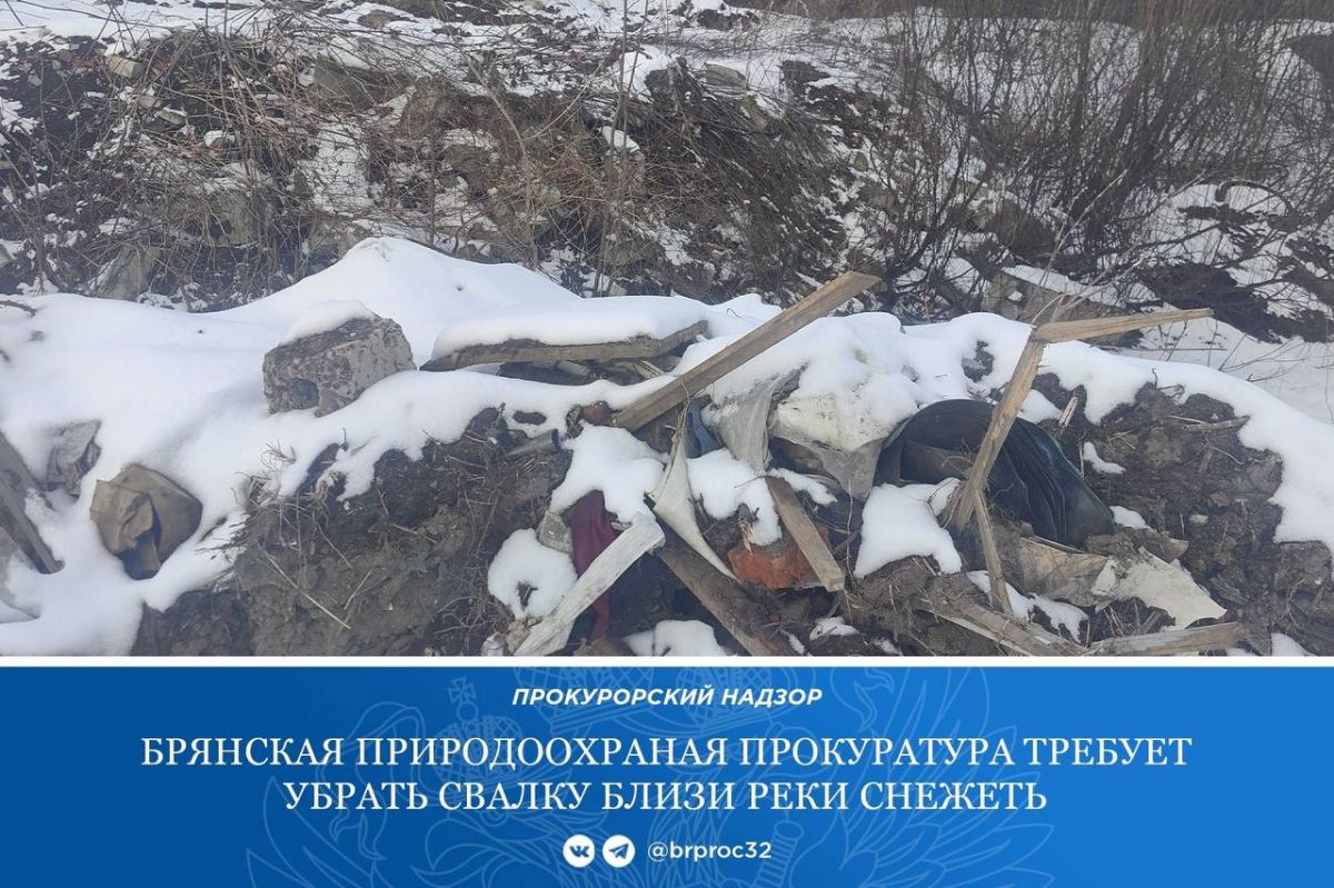 Свалку на брянской реке Снежеть требуют расчистить через суд