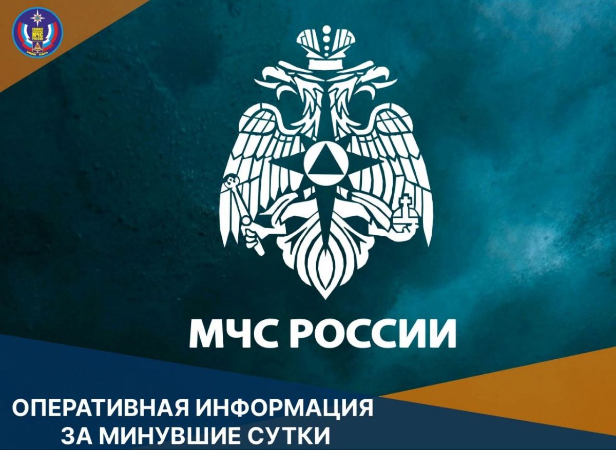 В Брянской области потушили природный пожар на площади 1 гектар