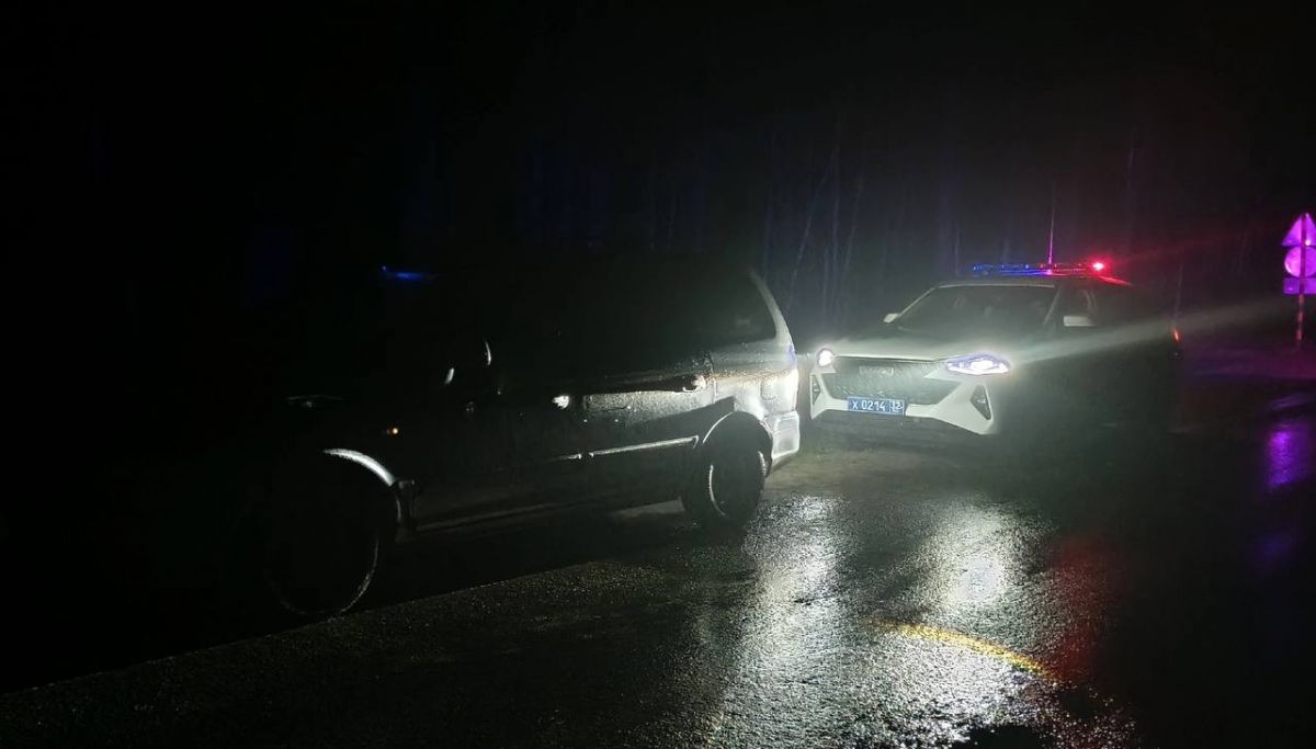 Ночью на брянской загородной трассе поймали пьяного водителя