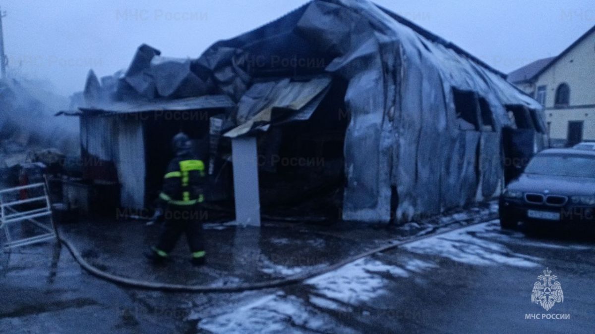 При пожаре в клинцовском автосервисе были повреждены семь автомобилей