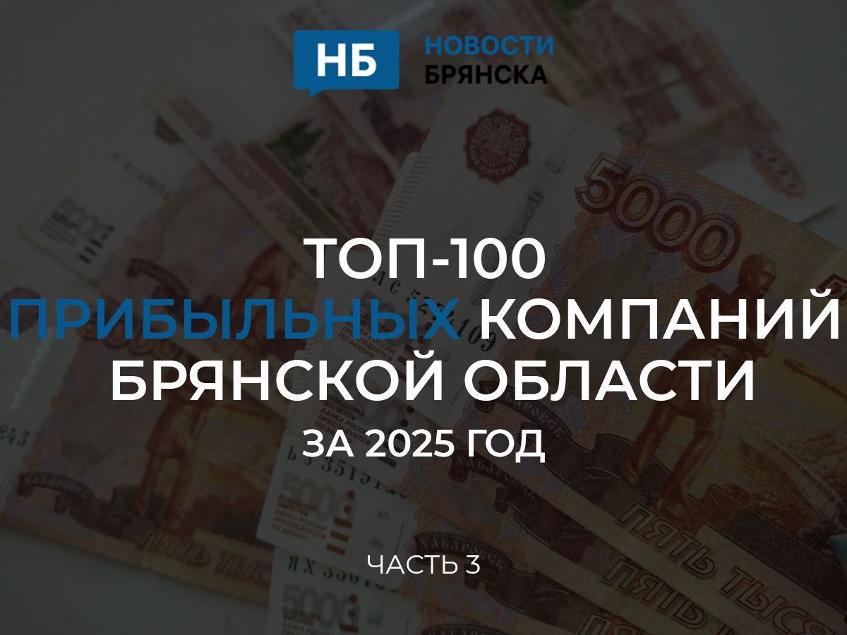 ТОП-100 прибыльных компаний Брянской области за 2024 год - часть 3