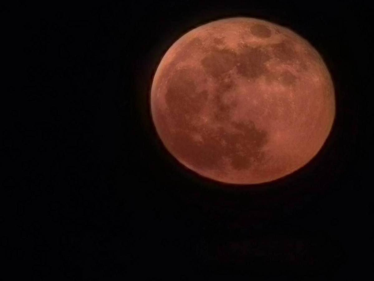 photo_2025-02-13_19-16-00