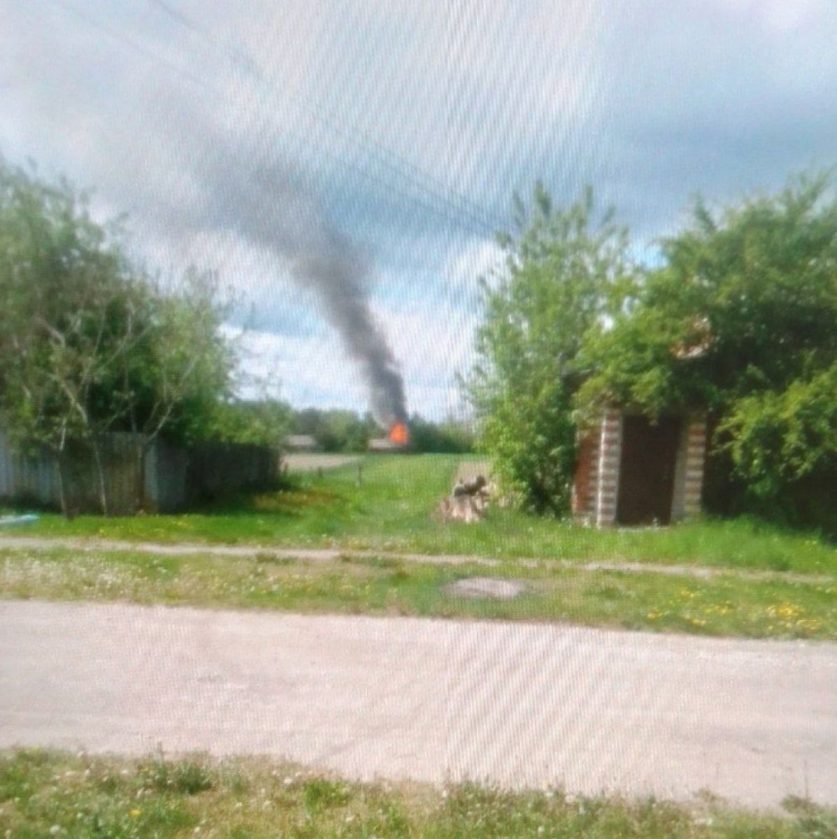 pojar2