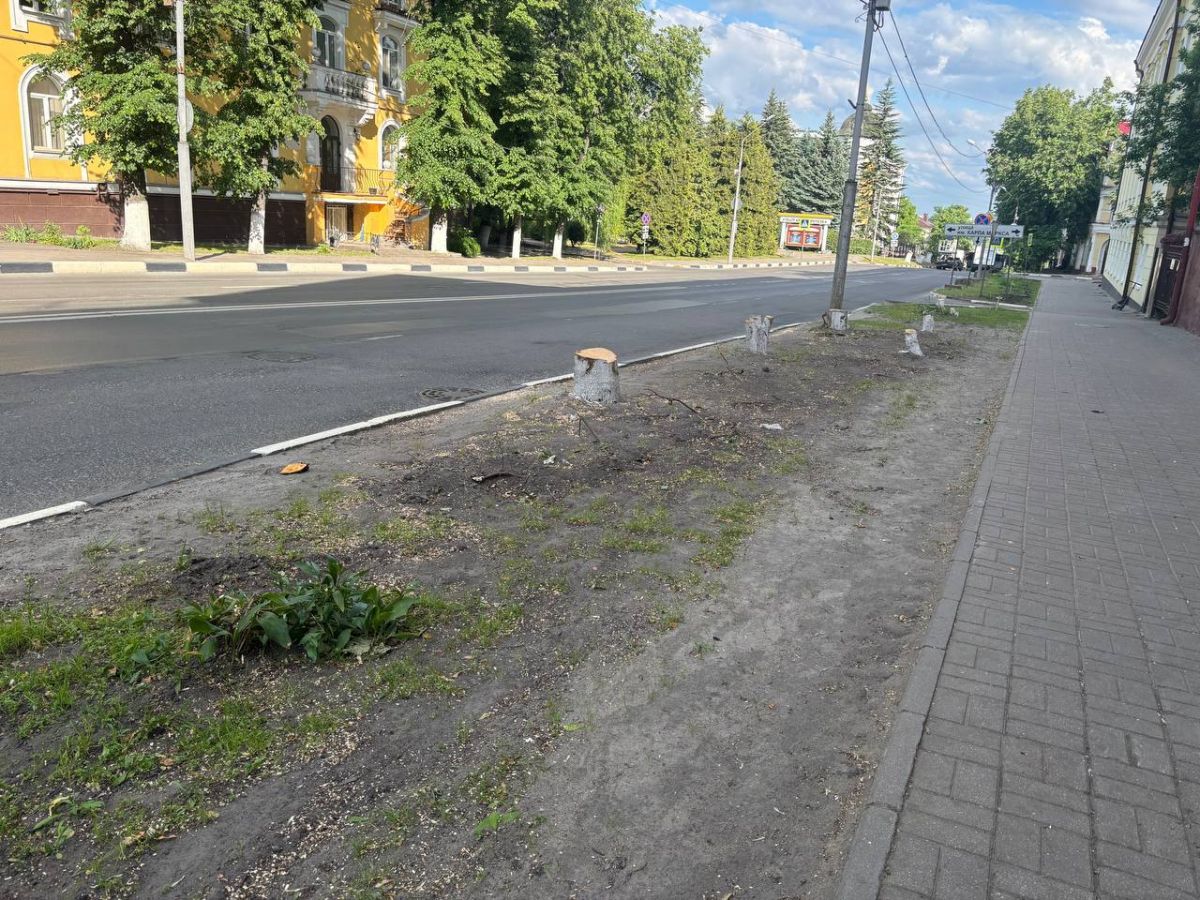 bryansk_bez_dereviev