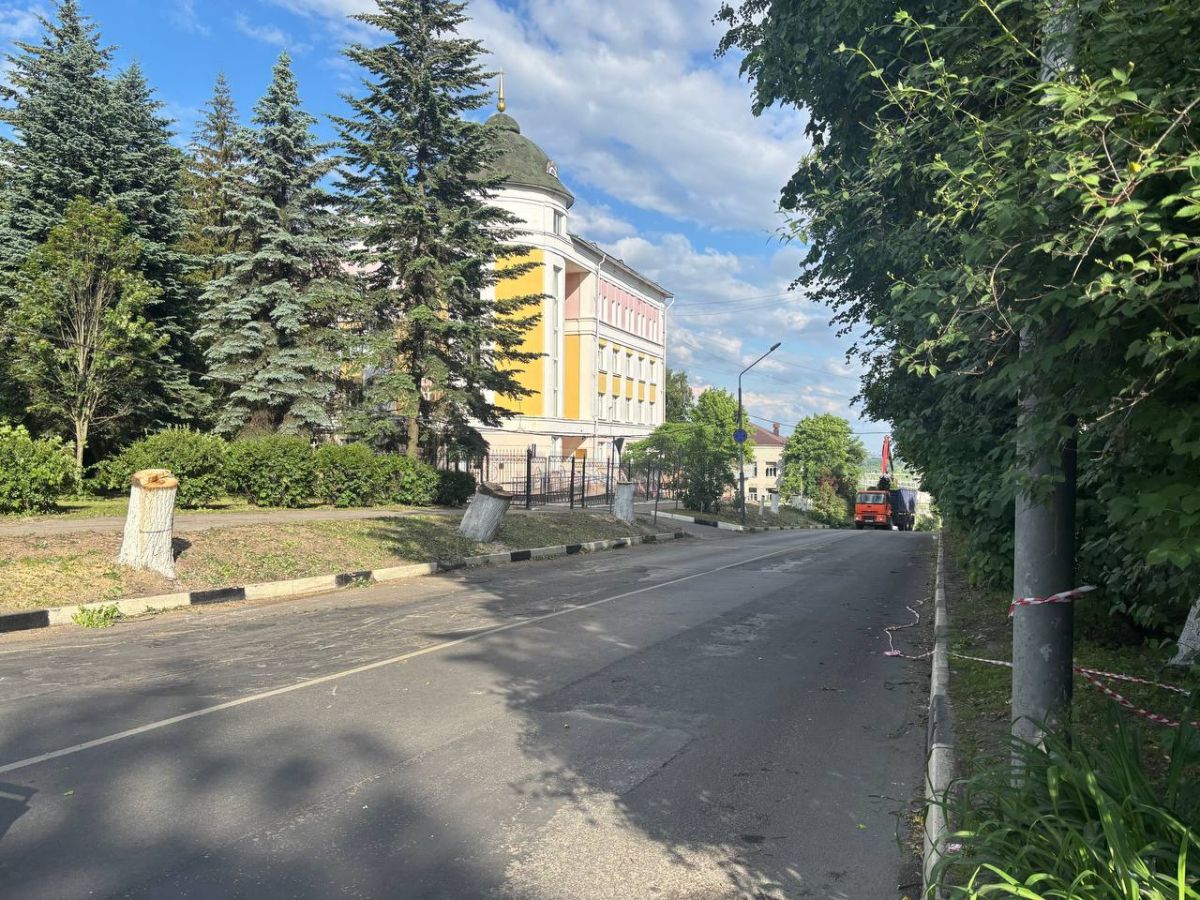 bryansk_bez_dereviev2