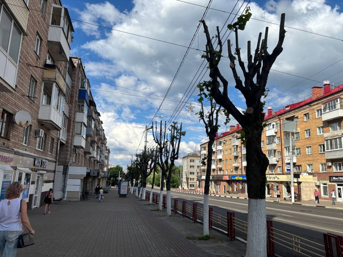 bryansk_bez_dereviev7