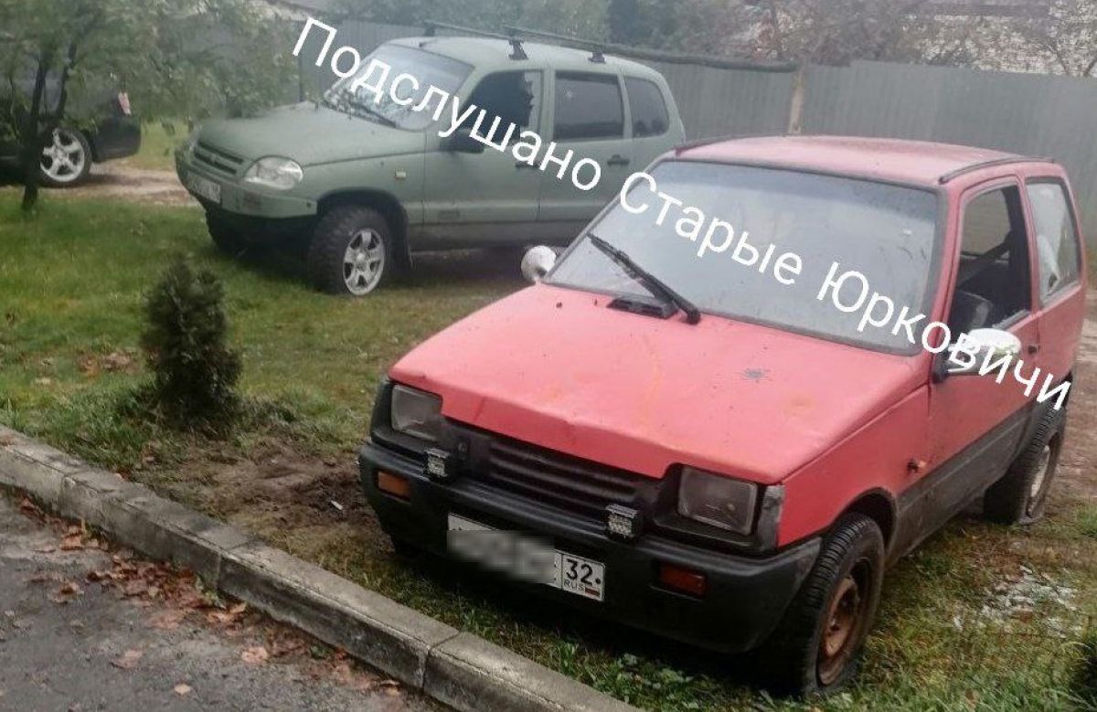 berezka1
