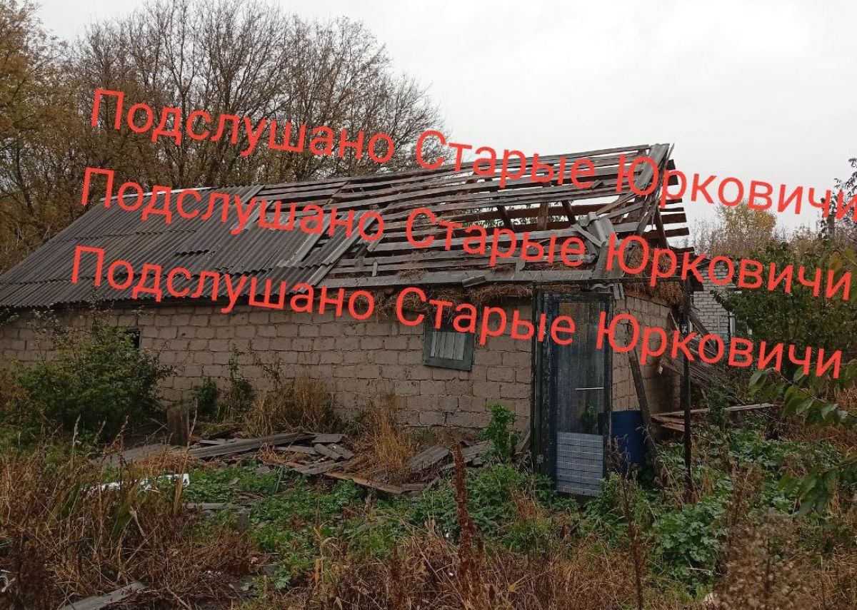 yorkovichi2