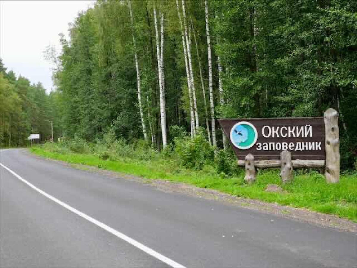 В Рязанской области отремонтировали дорогу к Окскому заповеднику