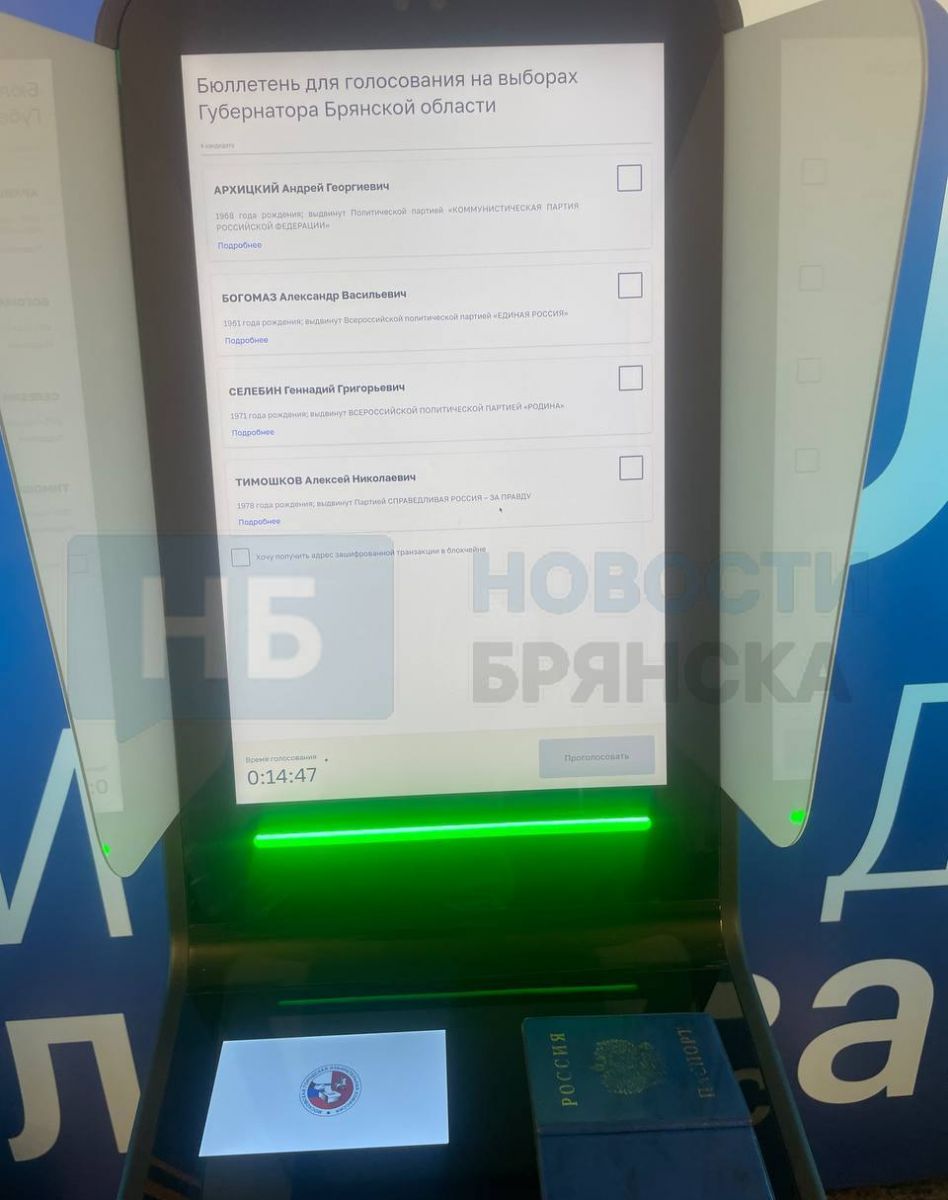 «Я такого никогда не видел»: «НБ» выяснили, как проходит голосование в Москве