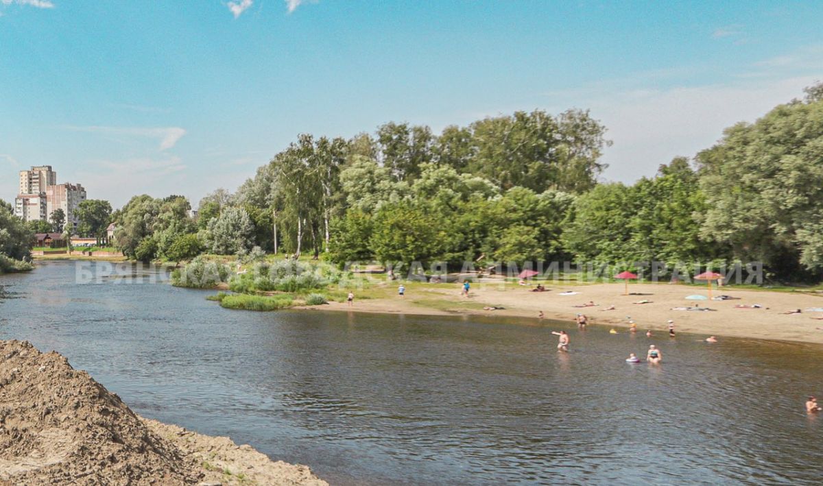 Шесть человек утонули в Брянске минувшем летом