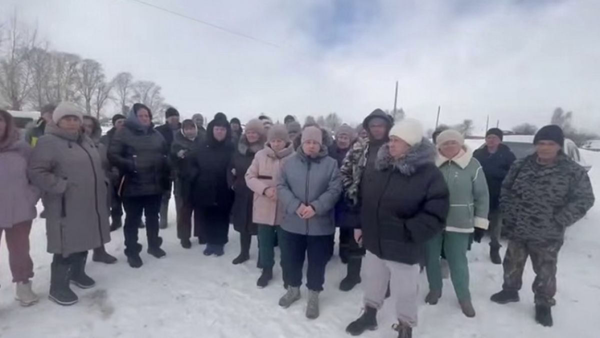 СК начал проверку после сообщений о массовом уничтожении скота в регионах