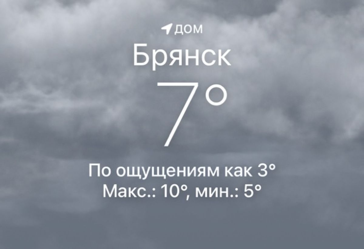 Октябрь в конце мая: в Брянской области похолодание вышло на пик