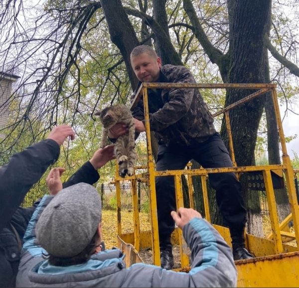 Фото Услышано Вичуга / ВКонтакте