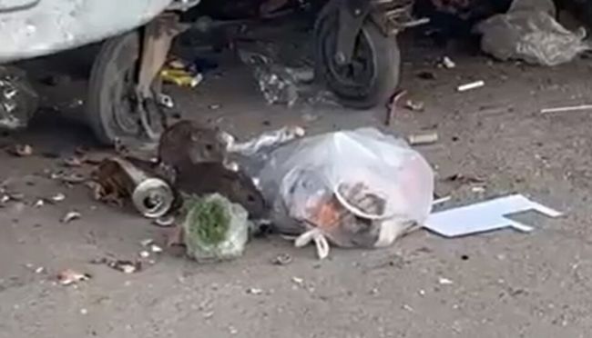 скриншот видео