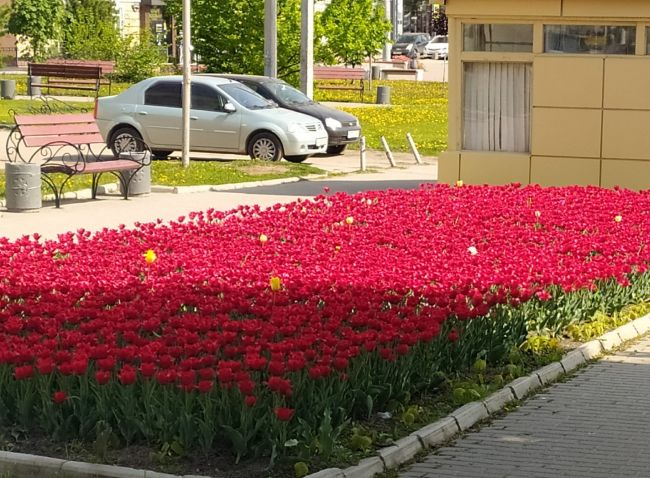 Можно с облегчением выдохнуть: погода в Ивановской области сменит гнев на милость