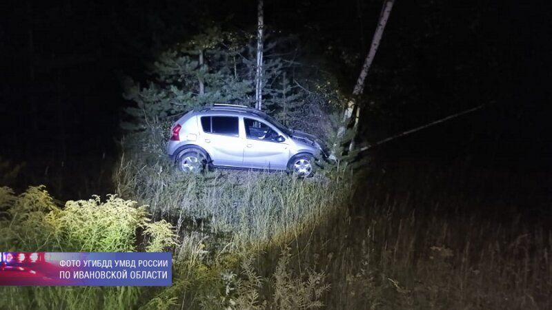 В Ивановской области водитель иномарки сбила перебегавших дорогу кабанов и врезалась в дерево