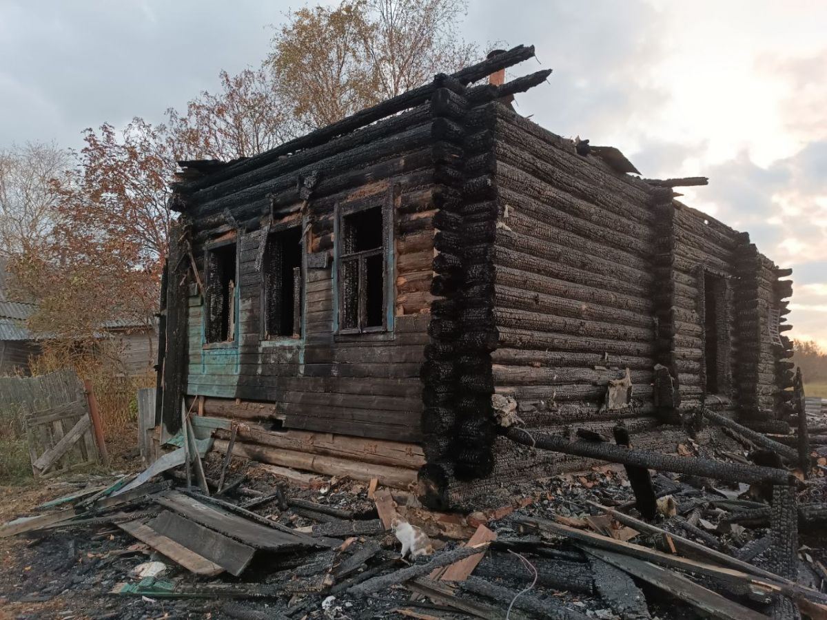фото: Ивановские новости