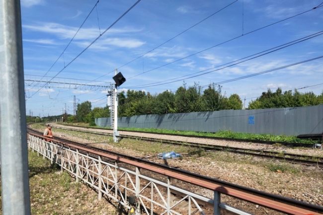 Пионерлагерь юный метростроевец балабаново старые фото